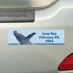 Leap Day February 29, 2024 Bumper Sticker