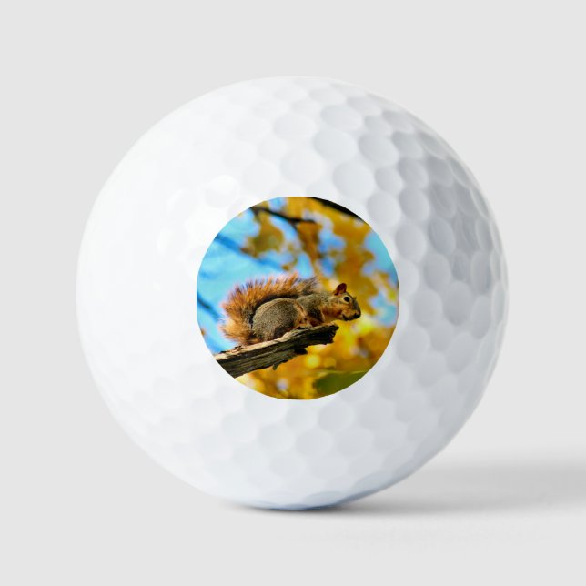 Leap Golf Balls (Front)