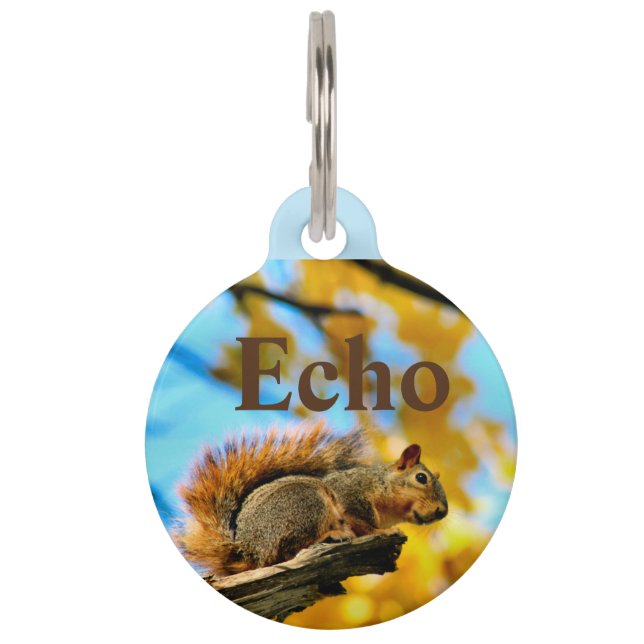 Leap Pet Tag (Front)