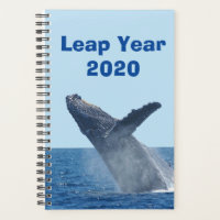 Leap Year 2020