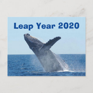 Leap Year 2020 Postcard