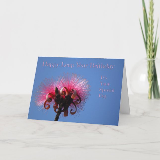 Leap Year Birthday Card, Two Hot Pink Flowers Card (Front)