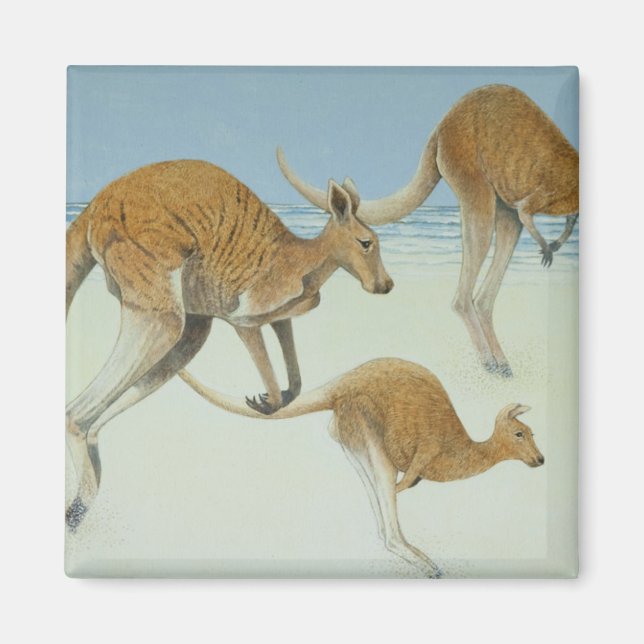 Leaping ahead magnet (Front)