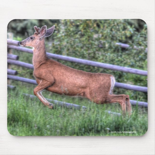 Leaping Deer Buck on Ranch Wildlife Photo Mouse Pad (Front)