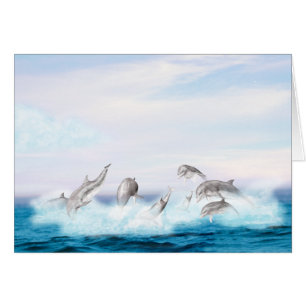 Leaping Dolphins
