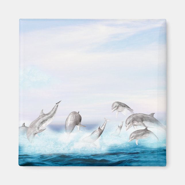 Leaping Dolphins Magnet (Front)