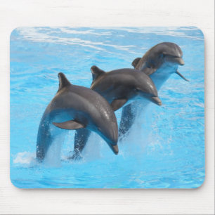 Leaping Dolphins Mouse Mat