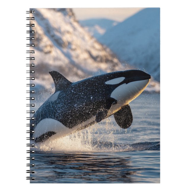 Leaping Orca Arctic Ocean Wildlife Art Notebook (Front)