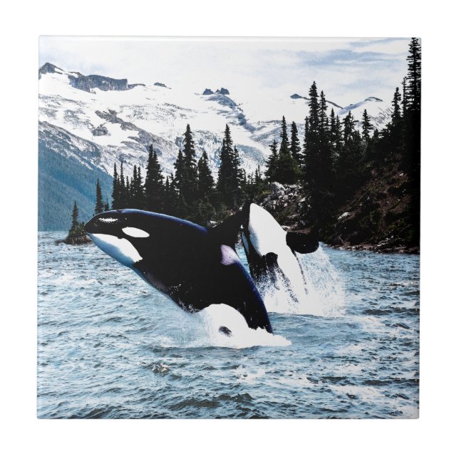 Leaping Orca Tile (Front)