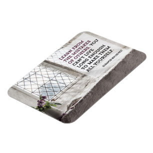 Learn From Mistakes of Others Magnet