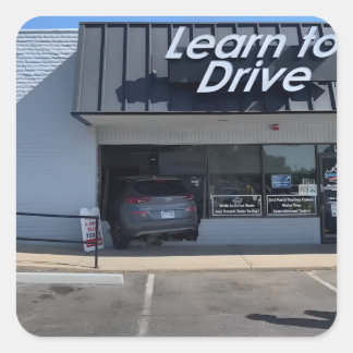 "Learn To Drive" Demotivational Sticker