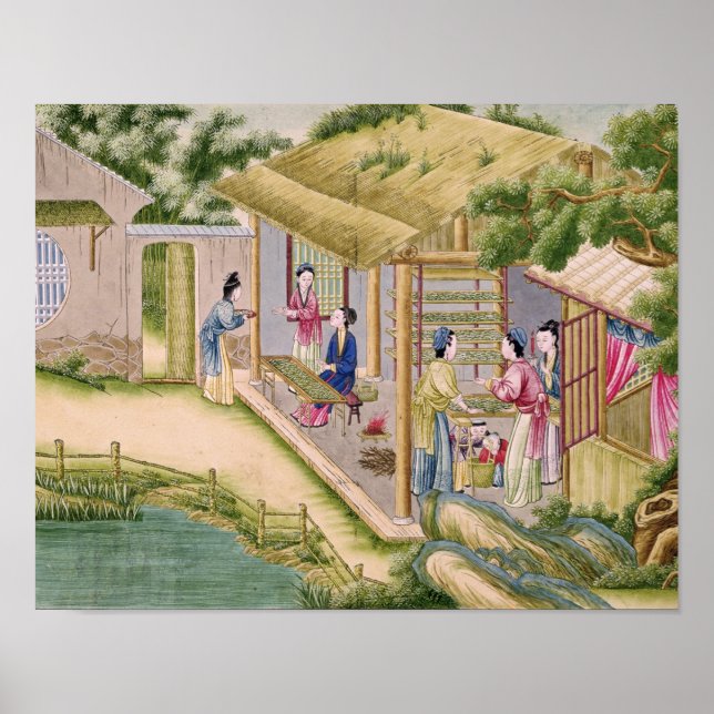 Learning about Silkworms Poster (Front)