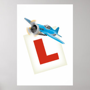 Learning to fly poster