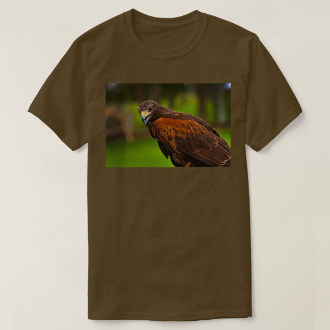 Learning To Hunt Again IV T-Shirt (Design Front)