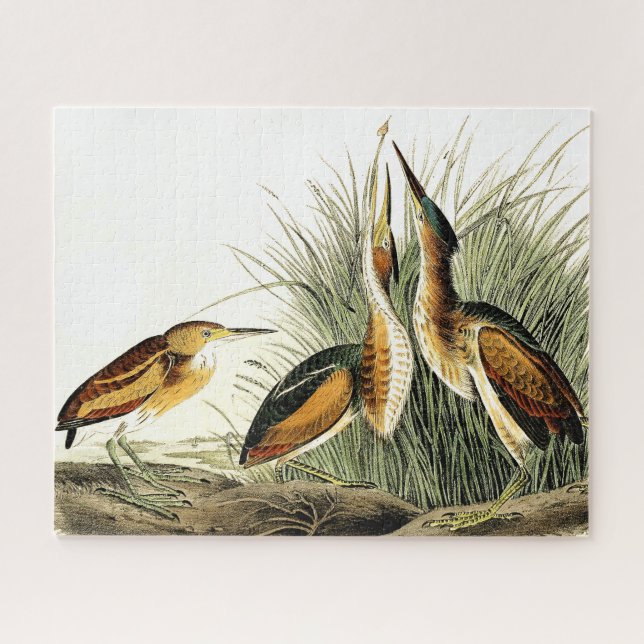 Least Bittern Heron Birds Wildlife Animals Puzzle (Horizontal)