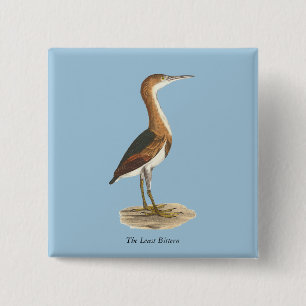Least Bittern (Ixobrychus exilis) New York Birds 15 Cm Square Badge