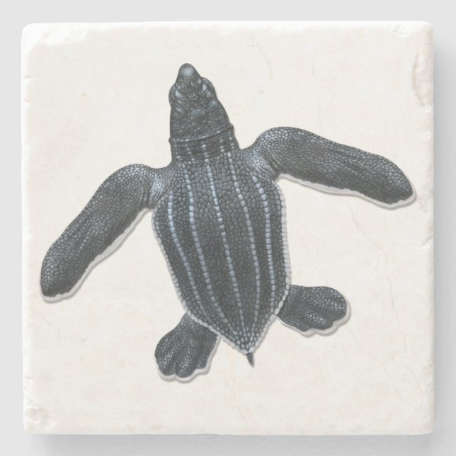 Leatherback Sea Turtle Stone Coaster (Front)