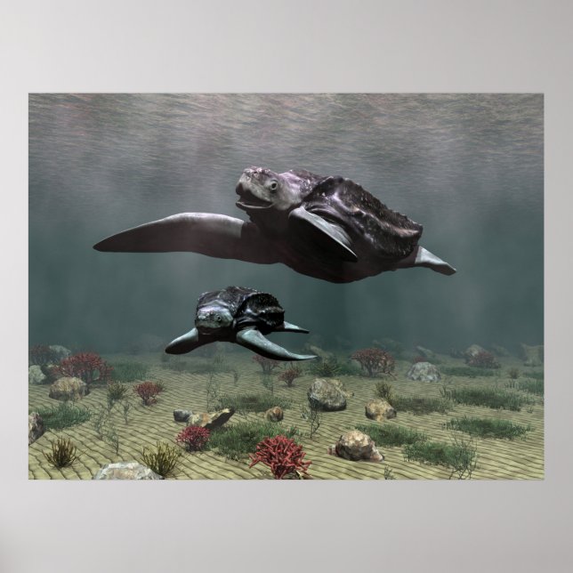 Leatherback turtle poster (Front)