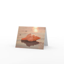 Leave a little Sparkle Horse conch Shell card