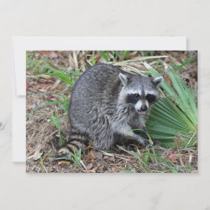 Leave Me Alone Card