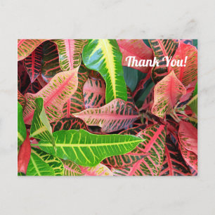 Leaves 3253 Thank You Postcard