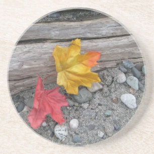 Leaves Adrift Coaster