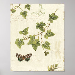 Leaves and a Butterfly Poster