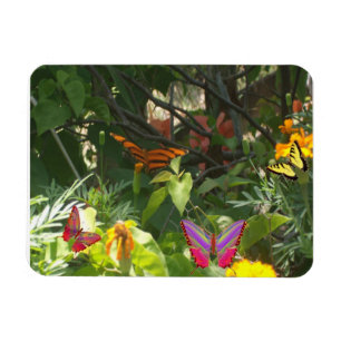 Leaves and Butterflies Premium Magnet