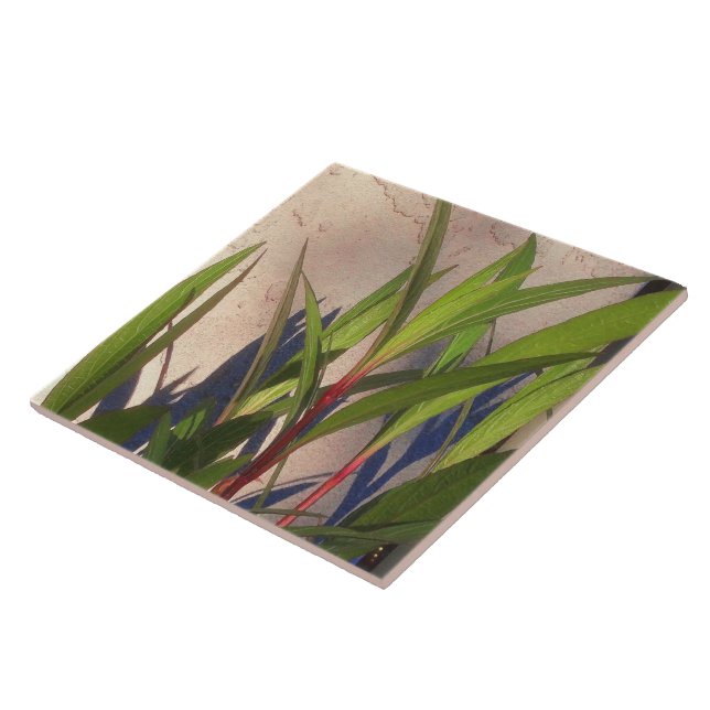 Leaves and Shadows Ceramic Tile (Side)