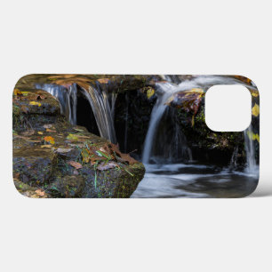 Leaves And Waterfalls iPhone 13 Case