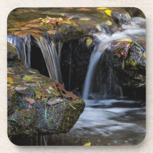 Leaves And Waterfalls Coaster
