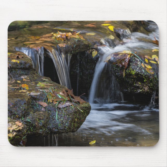 Leaves And Waterfalls Mouse Pad (Front)