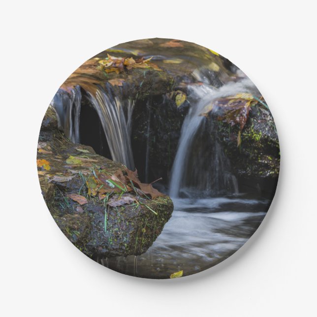 Leaves And Waterfalls Paper Plate (Front)