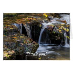 Leaves And Waterfalls Thank You Card