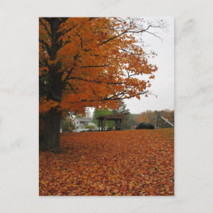 Leaves Are Falling postcard