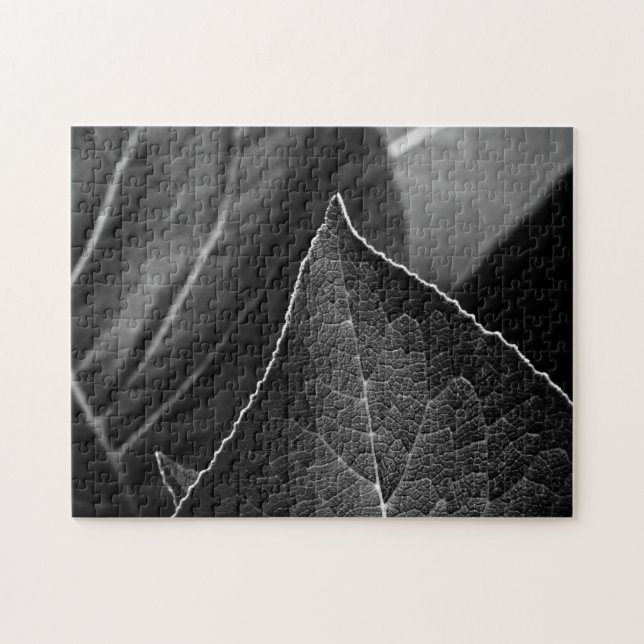 leaves being jigsaw puzzle (Horizontal)