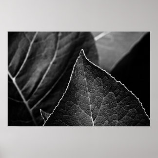 leaves being poster