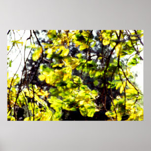 Leaves Blowing in the Wind Poster