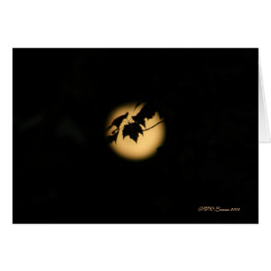 Leaves By The Light Of the Moon Card