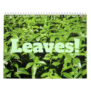 Leaves! Calendar