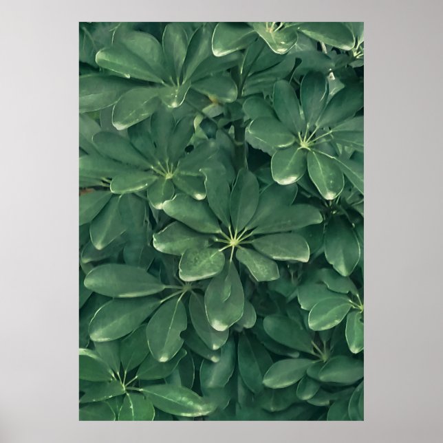 Leaves closeup photo poster (Front)