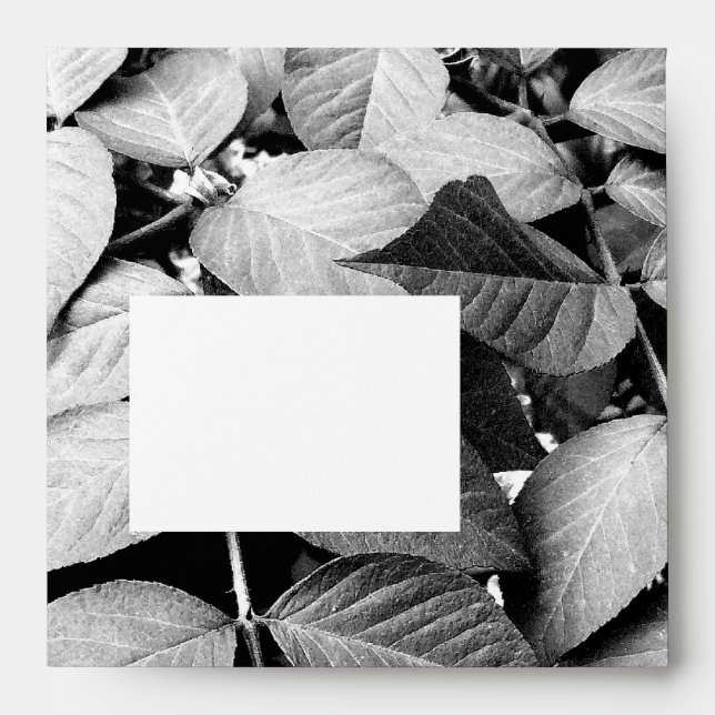 Leaves Envelopes (Front)
