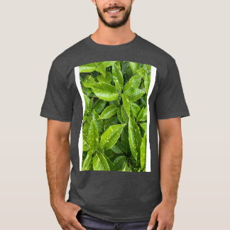Leaves Graphic T-Shirt