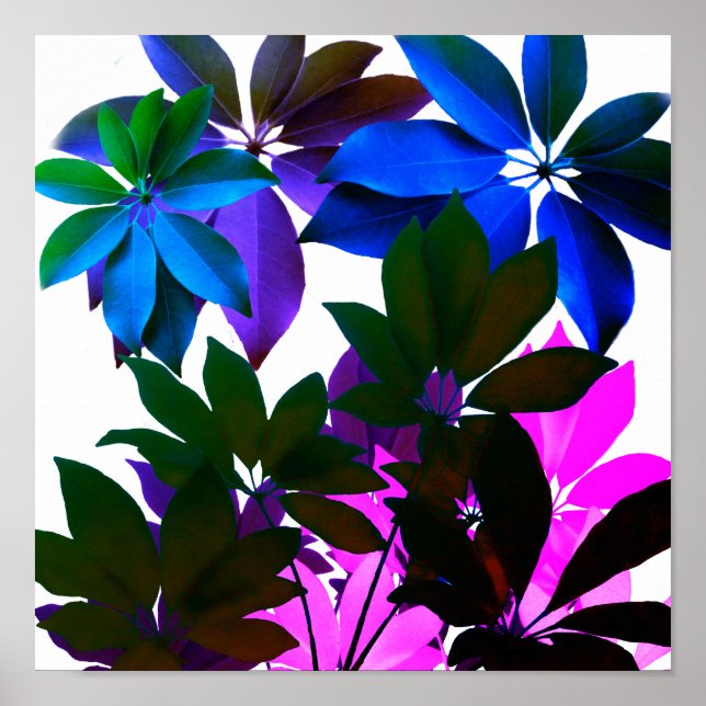 Leaves in Blue & Green, Pink   Poster Paper (Front)