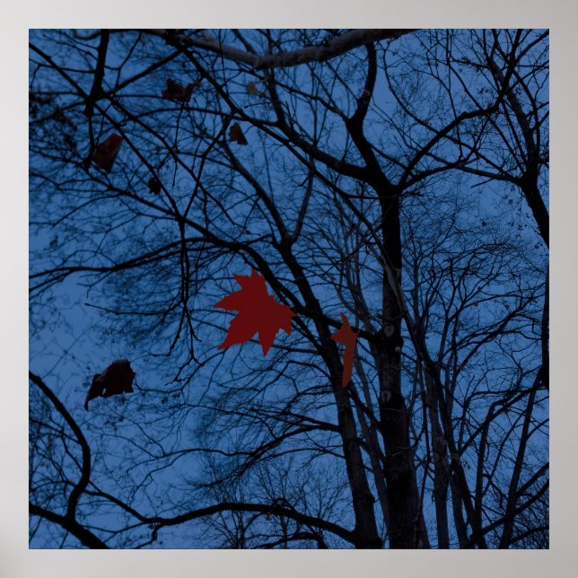 leaves in moonlight poster (Front)