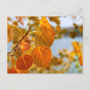 Leaves in Orange Postcard