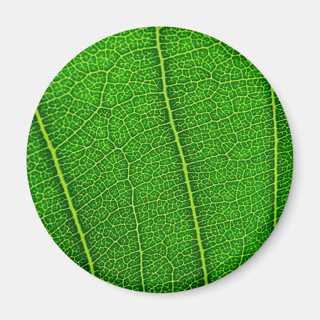 leaves magnet (Front)