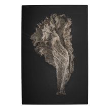 Leaves No 8 Colour Version