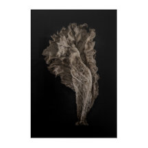 Leaves No 8 Colour Version