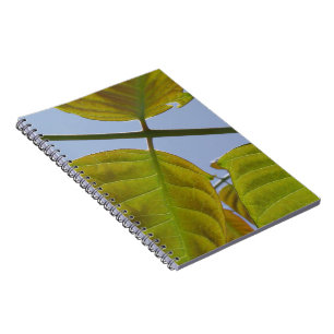 Leaves Notebook